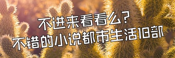 不进来看看么？不错的小说都市生活18部